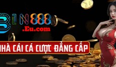 bin888eucom's picture bin888eucom's picture