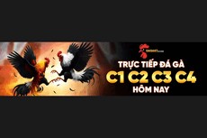 daga67cocom's picture daga67cocom's picture