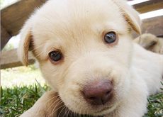 cotton-mouth's picture cotton-mouth's picture