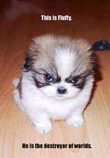 Ninja_Please's picture Ninja_Please's picture