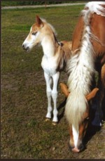 Mackenziebella's picture Mackenziebella's picture