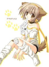 Okamii's picture Okamii's picture