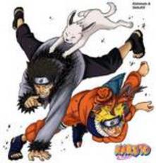 Kiba-The-Wolf-Lova's picture Kiba-The-Wolf-Lova's picture