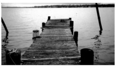 soralover123's picture