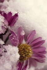 LadiesNIGHT's picture LadiesNIGHT's picture