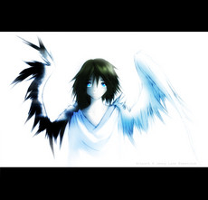 namiko's picture namiko's picture