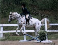 kuza's picture kuza's picture