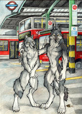 BloodMist's picture BloodMist's picture