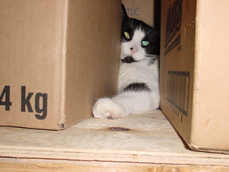 fluffismine's picture