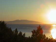 HopelessDreams's picture