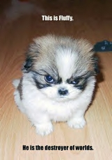 DemonJester0081's picture