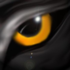 SpiritoftheWolf's picture