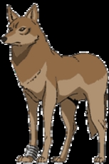 Higeismine's picture