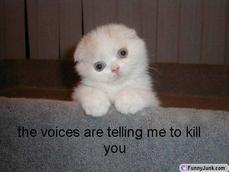 Girlof1000NickNames's picture Girlof1000NickNames's picture