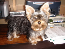 linachica867's picture linachica867's picture