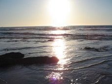 ShimmyAtTheShowdown's picture ShimmyAtTheShowdown's picture