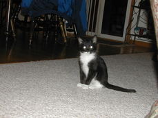 TwinnArtistMomo's picture