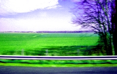 dustpastor's picture dustpastor's picture