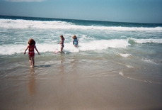 pinkfire's picture pinkfire's picture