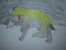 cole24941's picture cole24941's picture