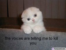 geno9234's picture geno9234's picture