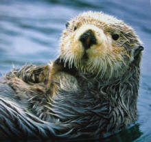 soluckytocallcaliforniahome's picture soluckytocallcaliforniahome's picture