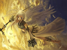 naioka1992's picture