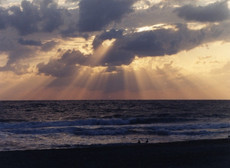 wingsofinspiration's picture wingsofinspiration's picture