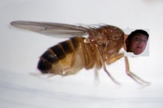 HHH999's picture HHH999's picture