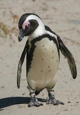 GstyleOwns's picture GstyleOwns's picture