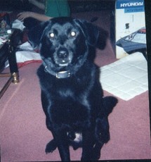 LonelyFallenSpirit12's picture