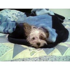 stacyann's picture stacyann's picture