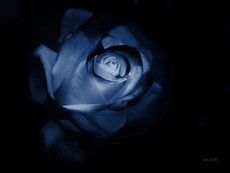 cassidy908's picture cassidy908's picture