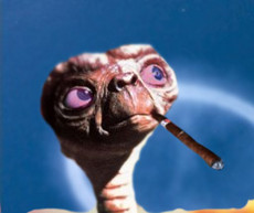 BirdYuckser's picture