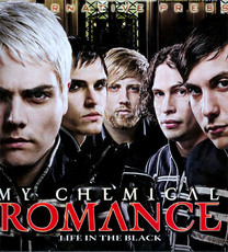 maddieluvr45's picture maddieluvr45's picture