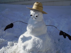 misdinos0's picture misdinos0's picture