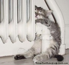 xharshbeansx's picture xharshbeansx's picture