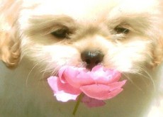 MakaruMakenzie's picture MakaruMakenzie's picture