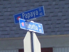 Pinacolada112194's picture Pinacolada112194's picture