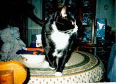 inochi's picture inochi's picture