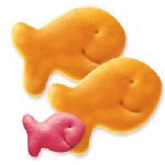 goldfish0422's picture goldfish0422's picture