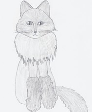 catze's picture catze's picture