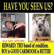 hibiscus86's picture hibiscus86's picture