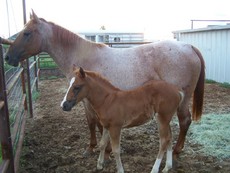 REDHAWK57313's picture REDHAWK57313's picture