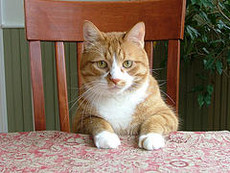 Moonpool's picture Moonpool's picture