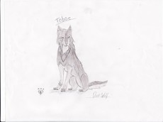 DarkWolf1477's picture DarkWolf1477's picture