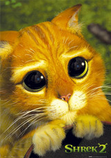 lexylilac's picture lexylilac's picture