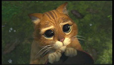 DoveGirl's picture DoveGirl's picture