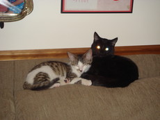 XdaddysXgirlX97's picture XdaddysXgirlX97's picture