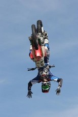 edthealchemist's picture edthealchemist's picture